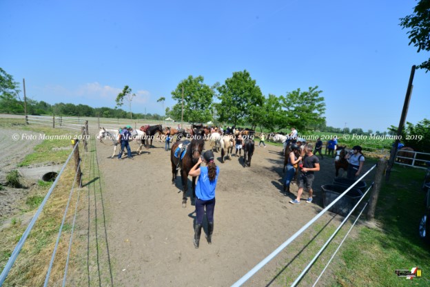 DSC_7241.JPG